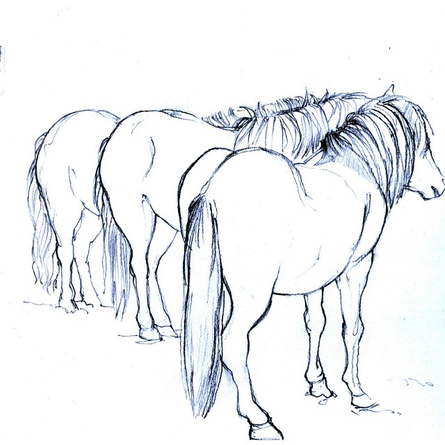 Three of a Kind - Drawing by Tom Leedy