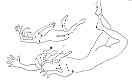 Nude 18 - Aphrodite Wounded Cartoon, by Tom Leedy