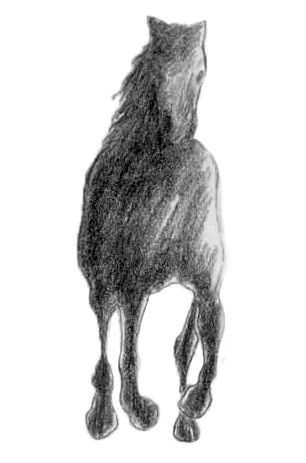 Phantom - Drawing by Tom Leedy