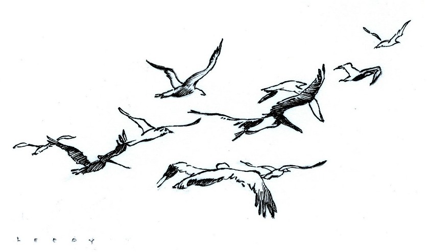 Fly Away by Tom Leedy