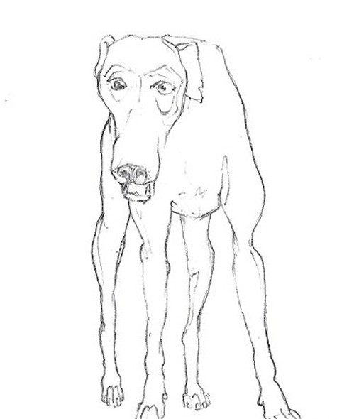 Old Dog - Drawing by Tom Leedy